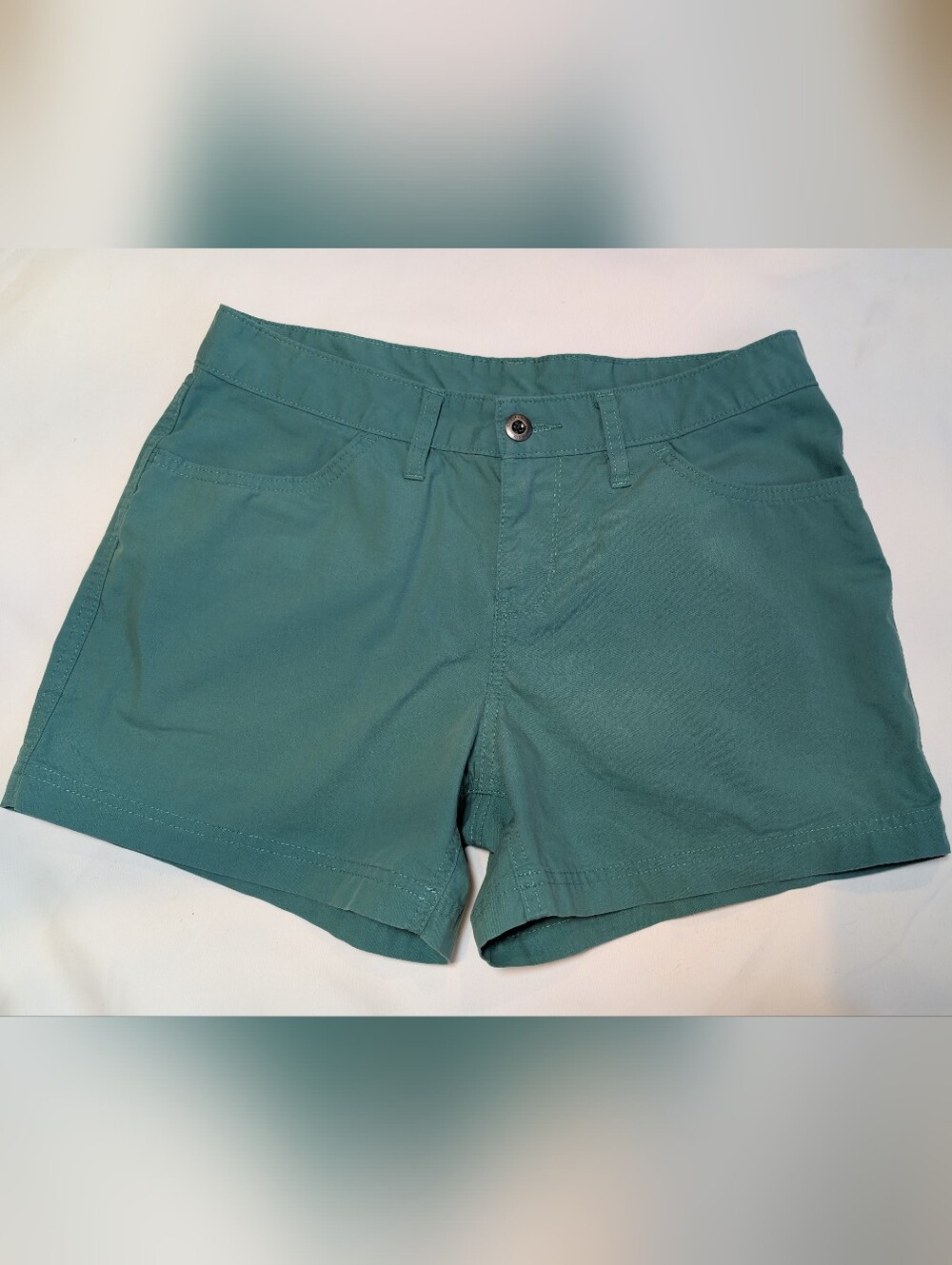 Patagonia Teal Green Women's Shorts Size 8